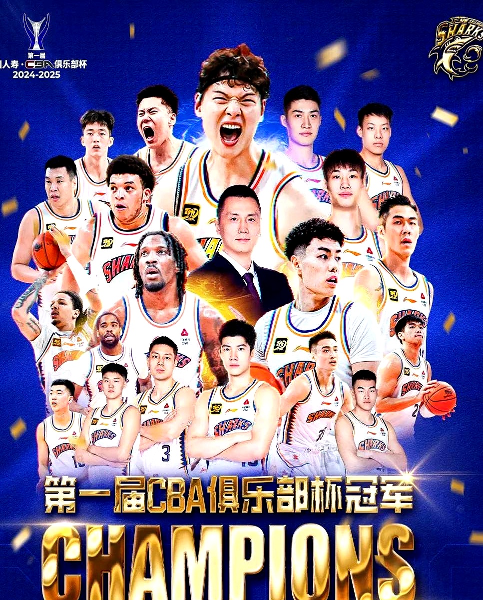开云体育入口-北京队迎来关键胜利，士气大振的简单介绍