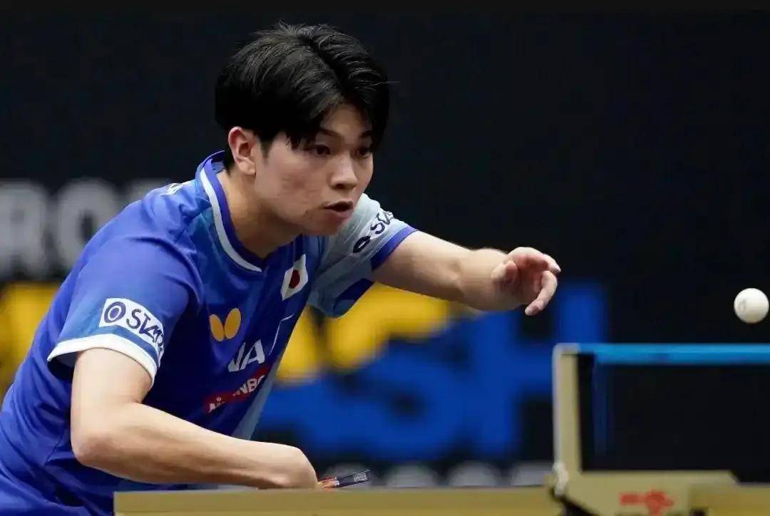 包含波兰队完胜瑞典队,张本智和扛起全队的词条 包含波兰队完胜瑞典队,张本智和扛起全队的词条