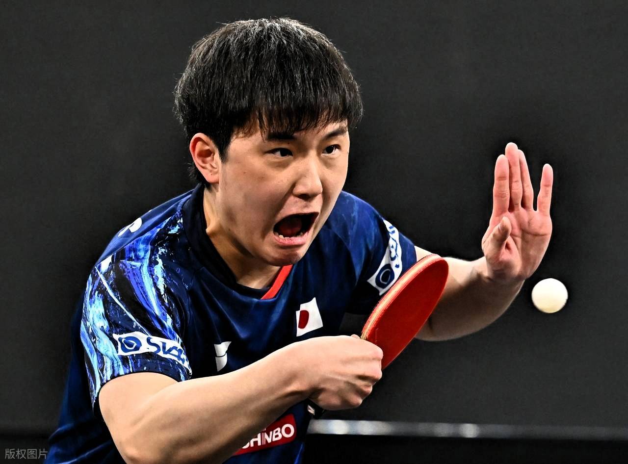 开云体育官方网站-日本队逆转波兰队，张本智和点燃赛场的简单介绍